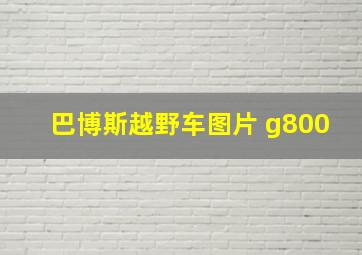 巴博斯越野车图片 g800